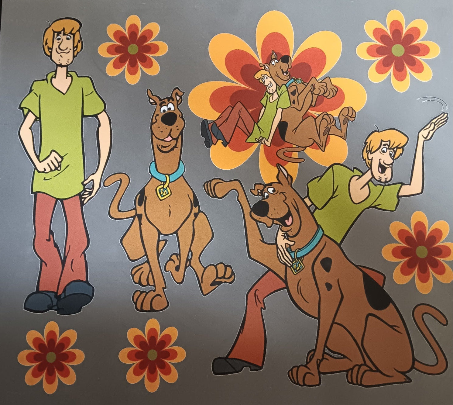 Scooby Doo and Shaggy