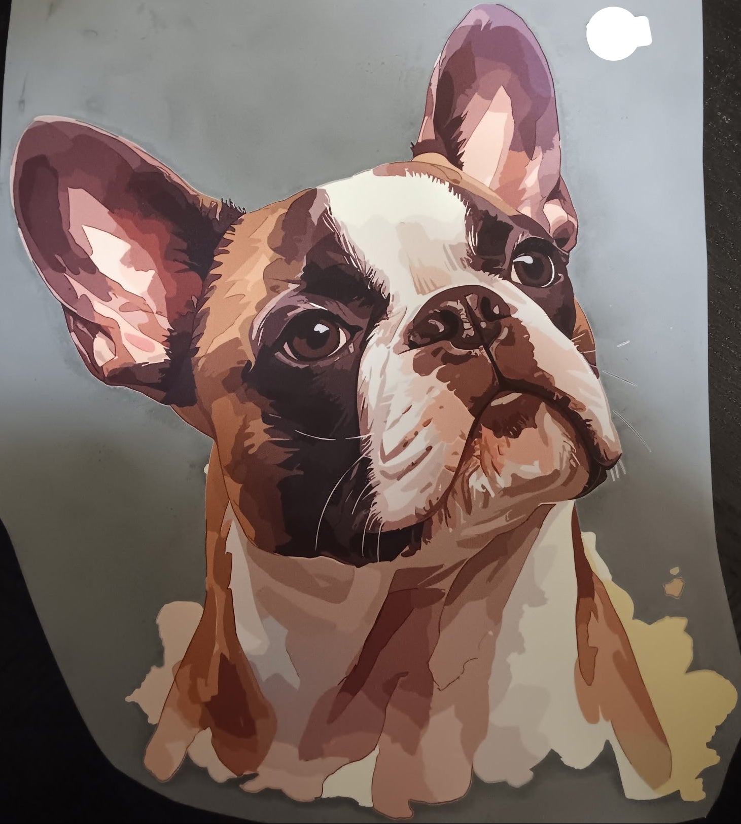French Bulldog