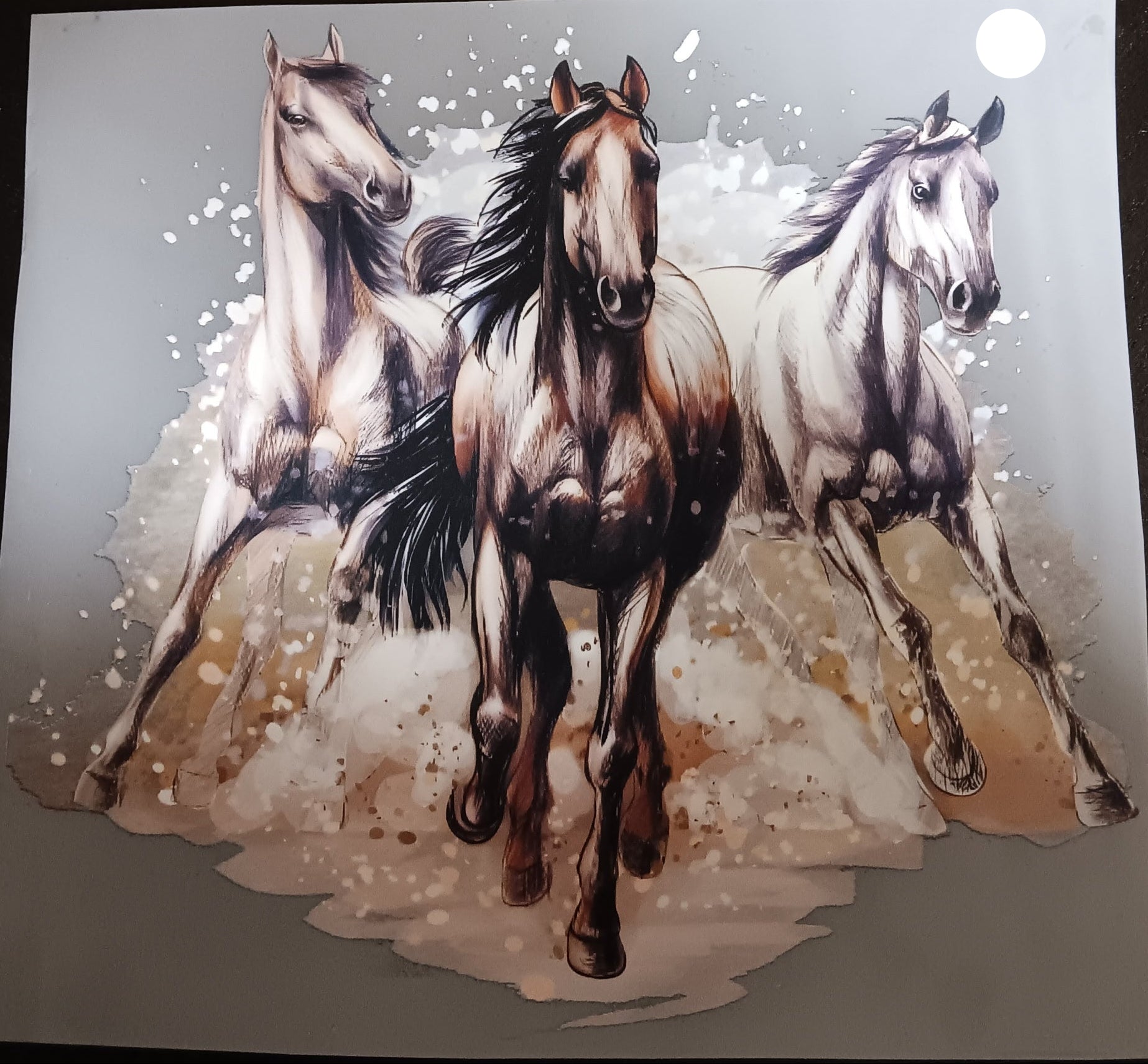 Horses