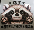 Cute Racoon