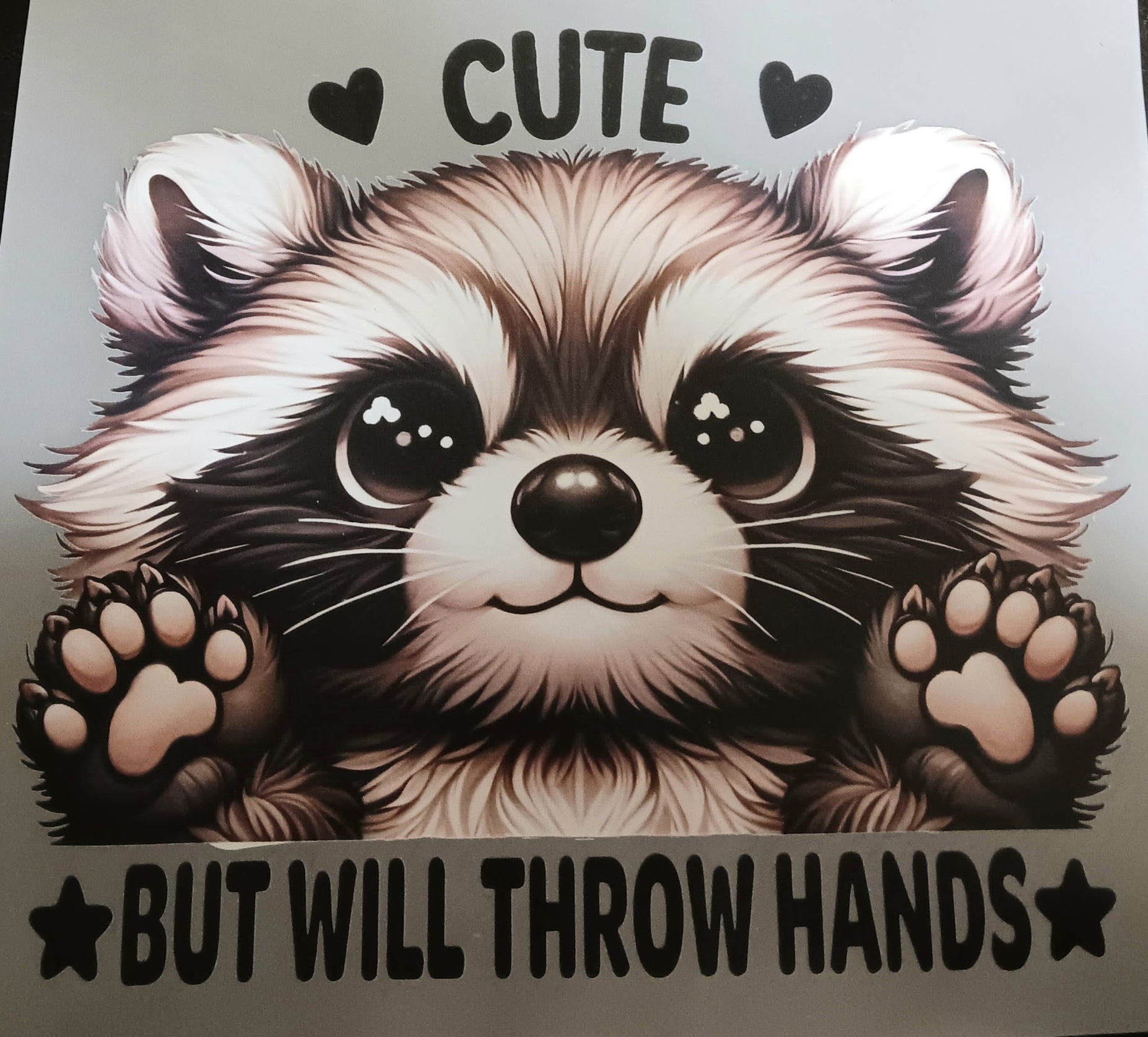 Cute Racoon