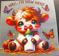Hay Im New Here - Highland