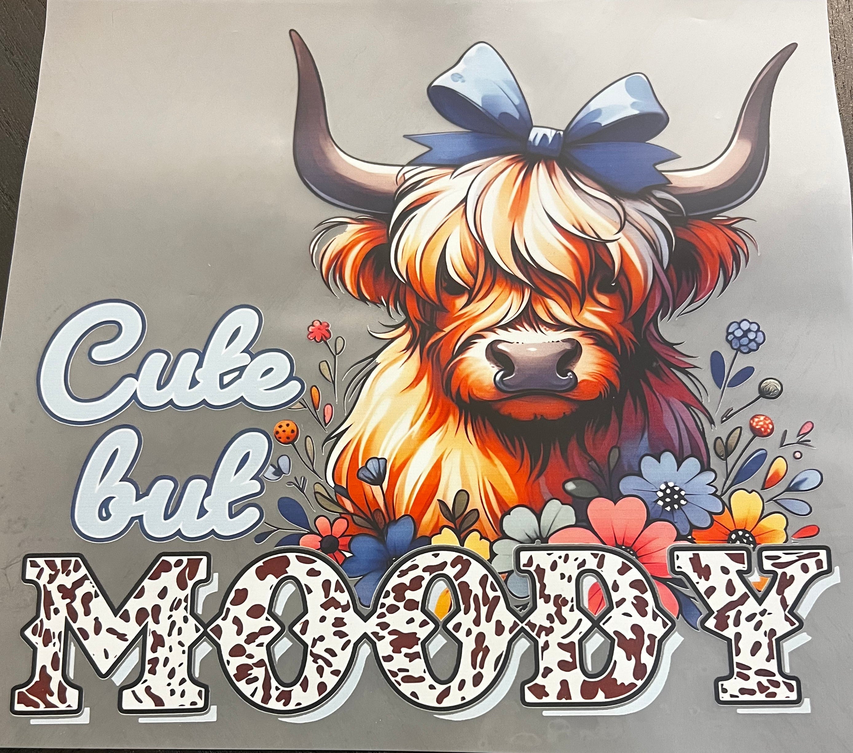 Cute But Moody Highland