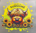 You Are My Sunshine Highland