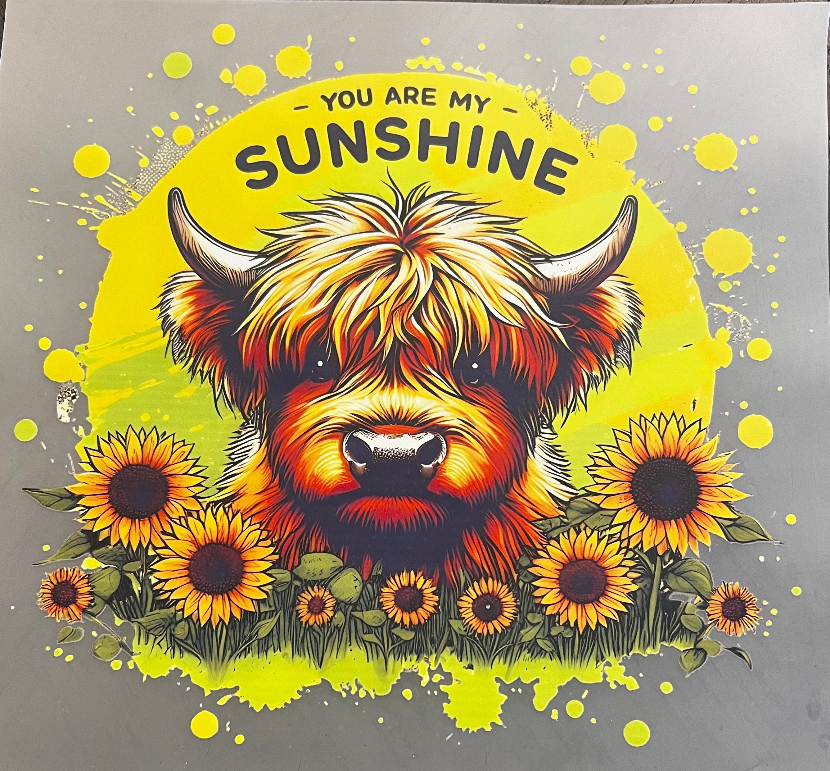 You Are My Sunshine Highland