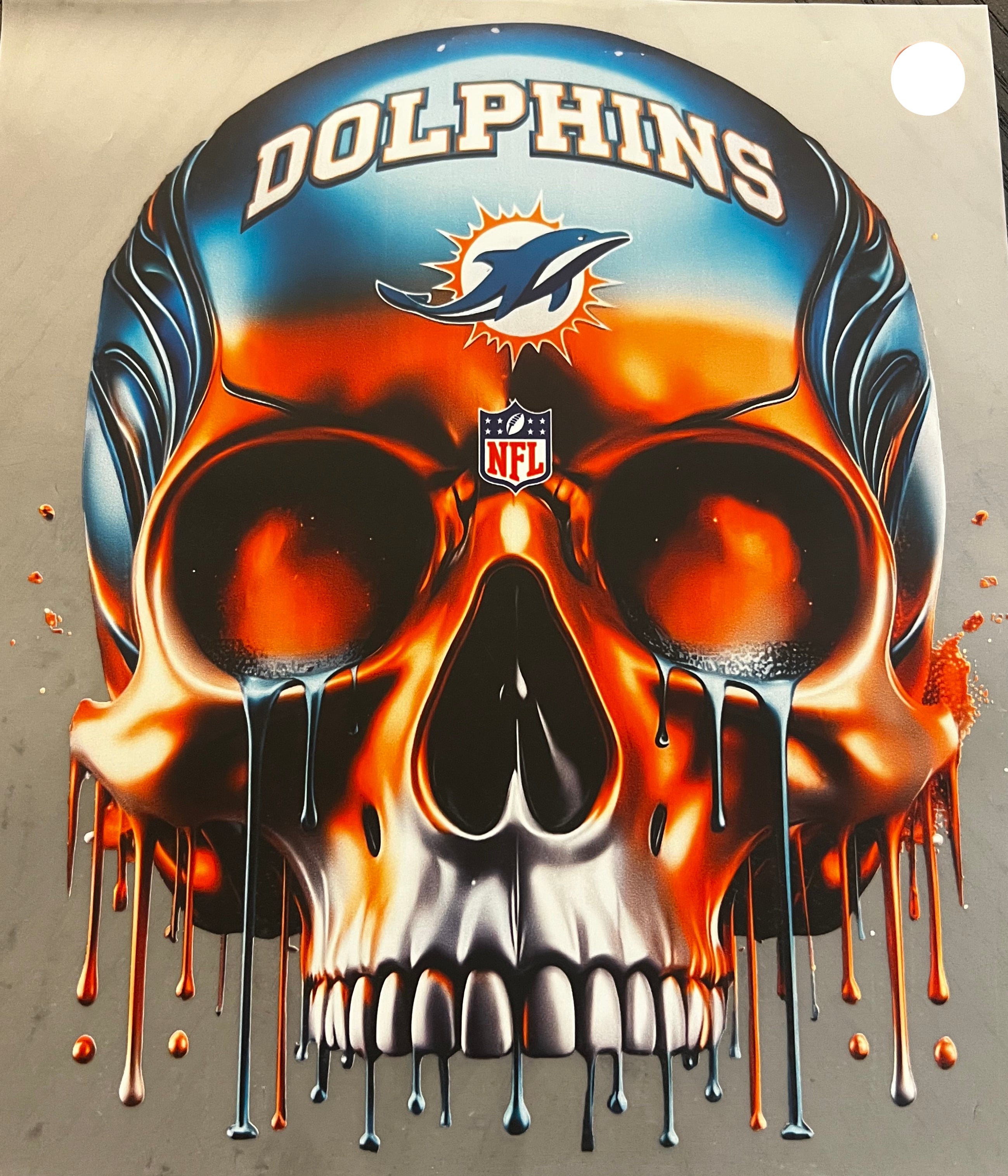 Dolphins Skull